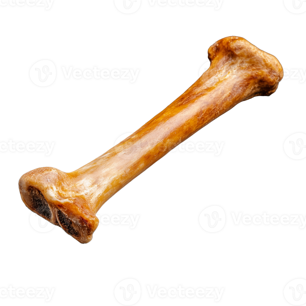 Natural dog bone chew toy for pets on transparent background png