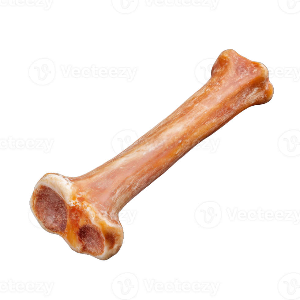 Realistic dog chew bone for pets on transparent background png