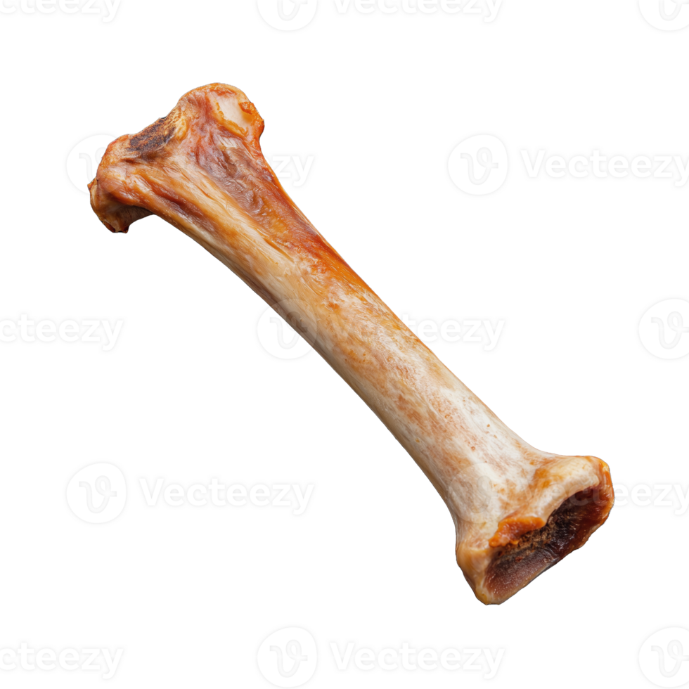 Dog chew bone with natural texture and color on transparent background png