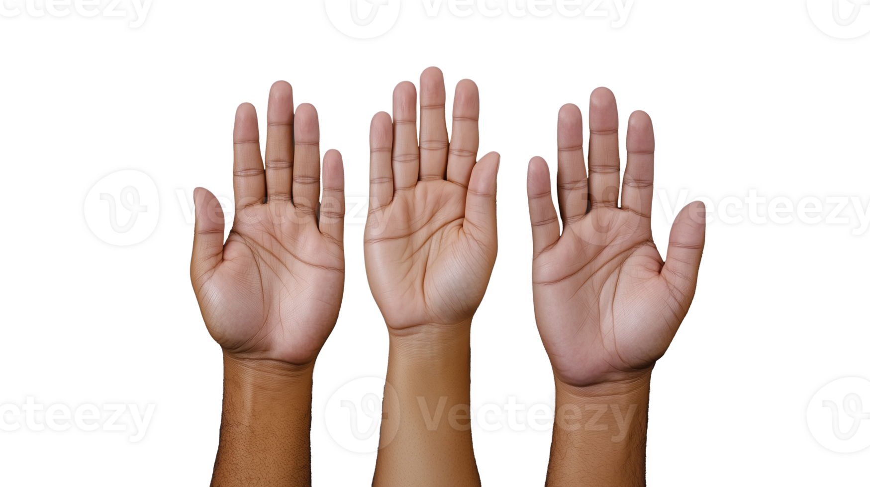 Diverse hands raised in greeting gesture on transparent background png