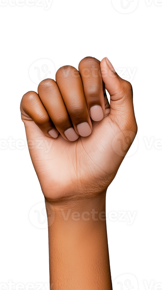 Raised fist symbolizing strength and unity on transparent background png
