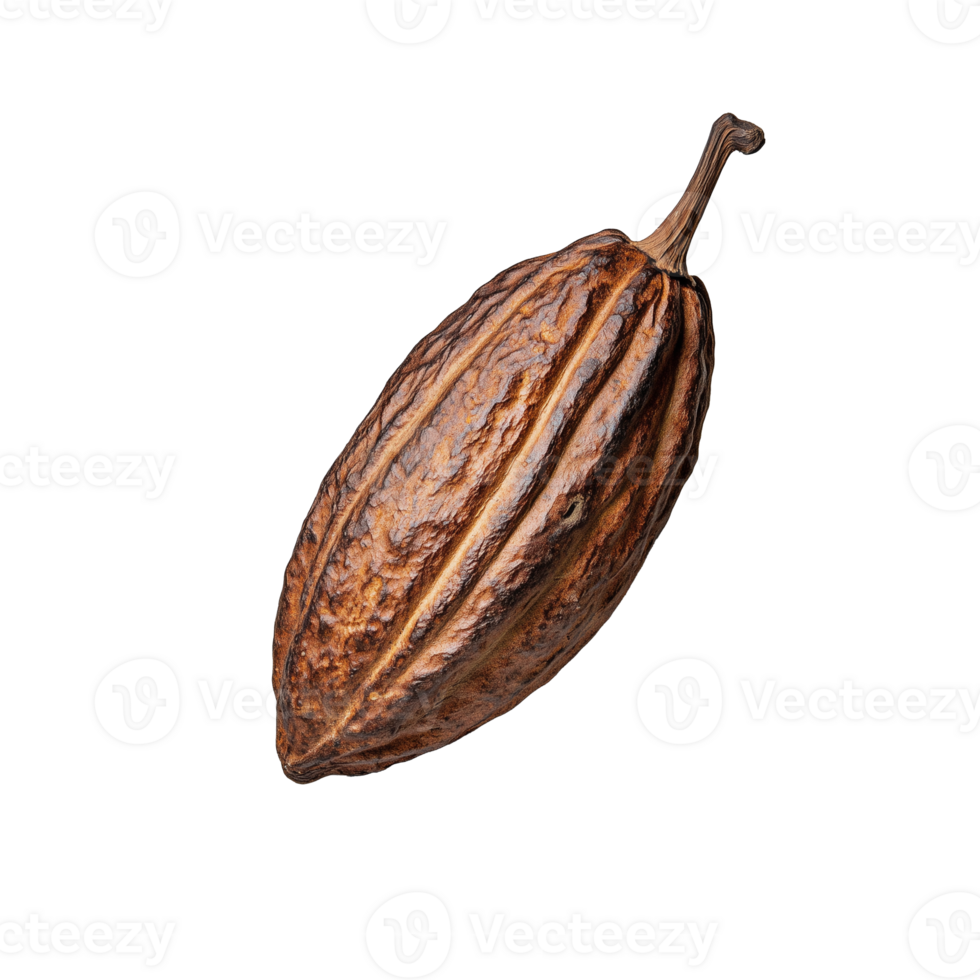 Cocoa pod with textured surface and rich brown color on transparent background png