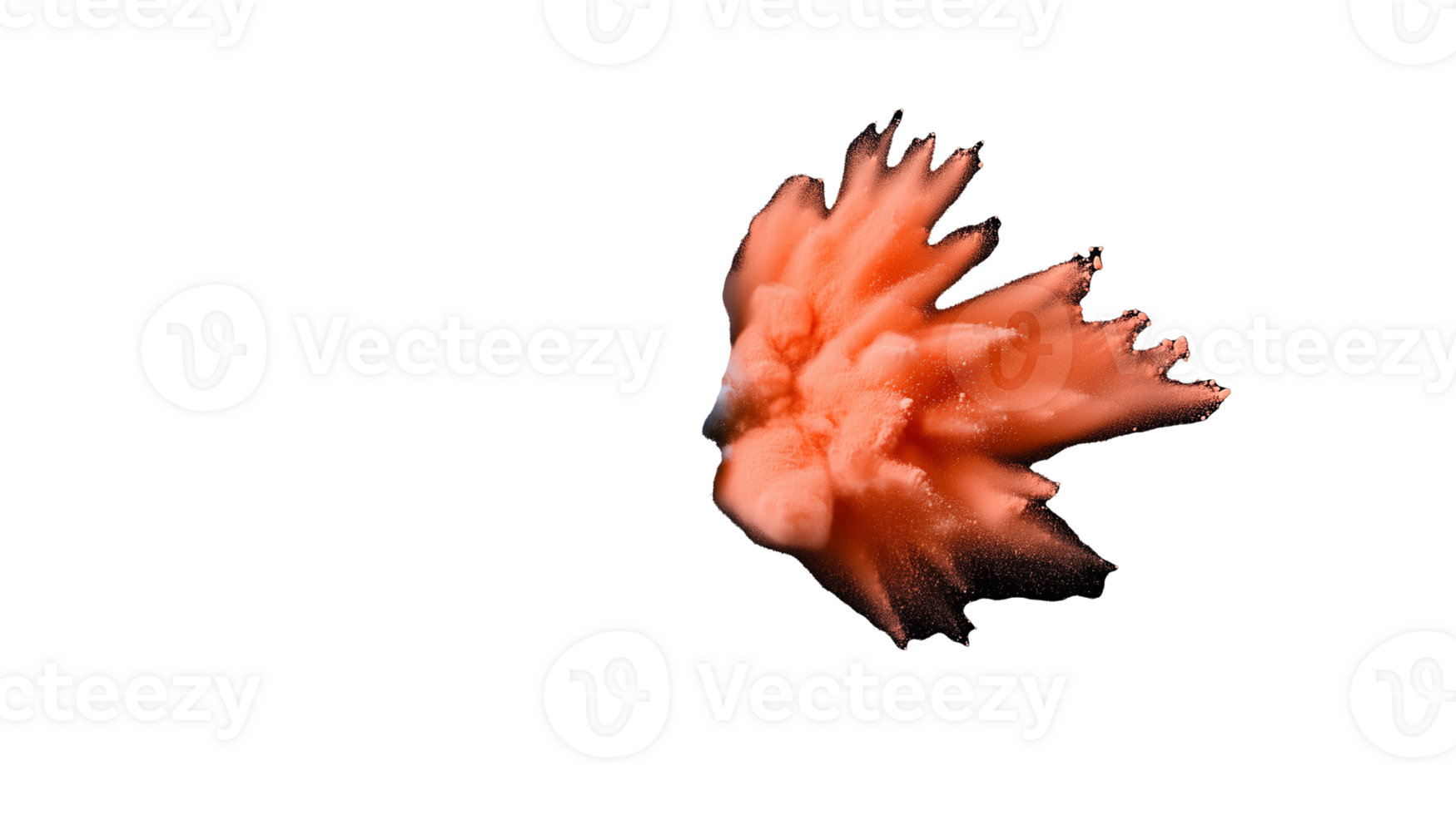 Vibrant abstract coral shape with fluid edges and dynamic colors on transparent background png