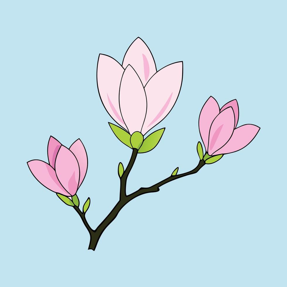 Pink Magnolia Blossoms Branch Spring Flower Nature Illustration vector