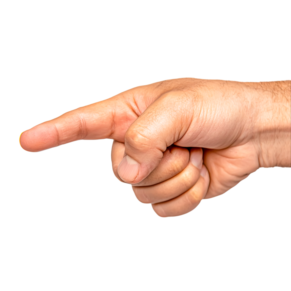 Hand Gesture Pointing Direction Towards Audience png