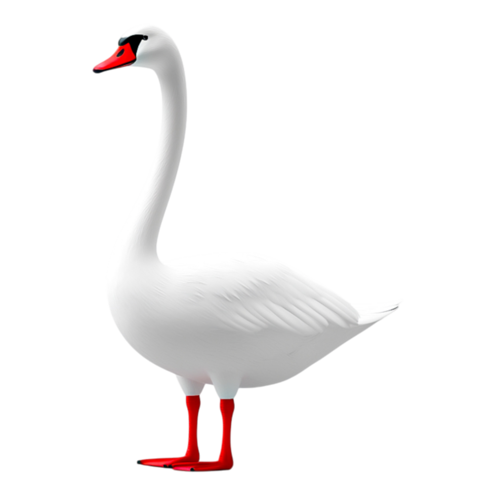 Elegant White Swan with Red Legs and Beak png