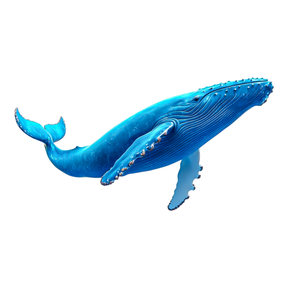 Graceful Blue Whale Swimming Underwater png