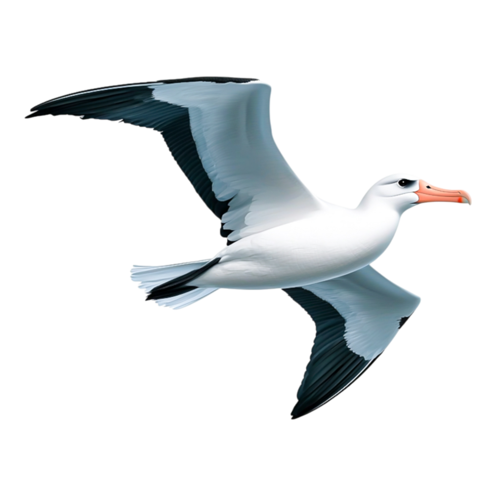 Albatross in Flight Over the Ocean png