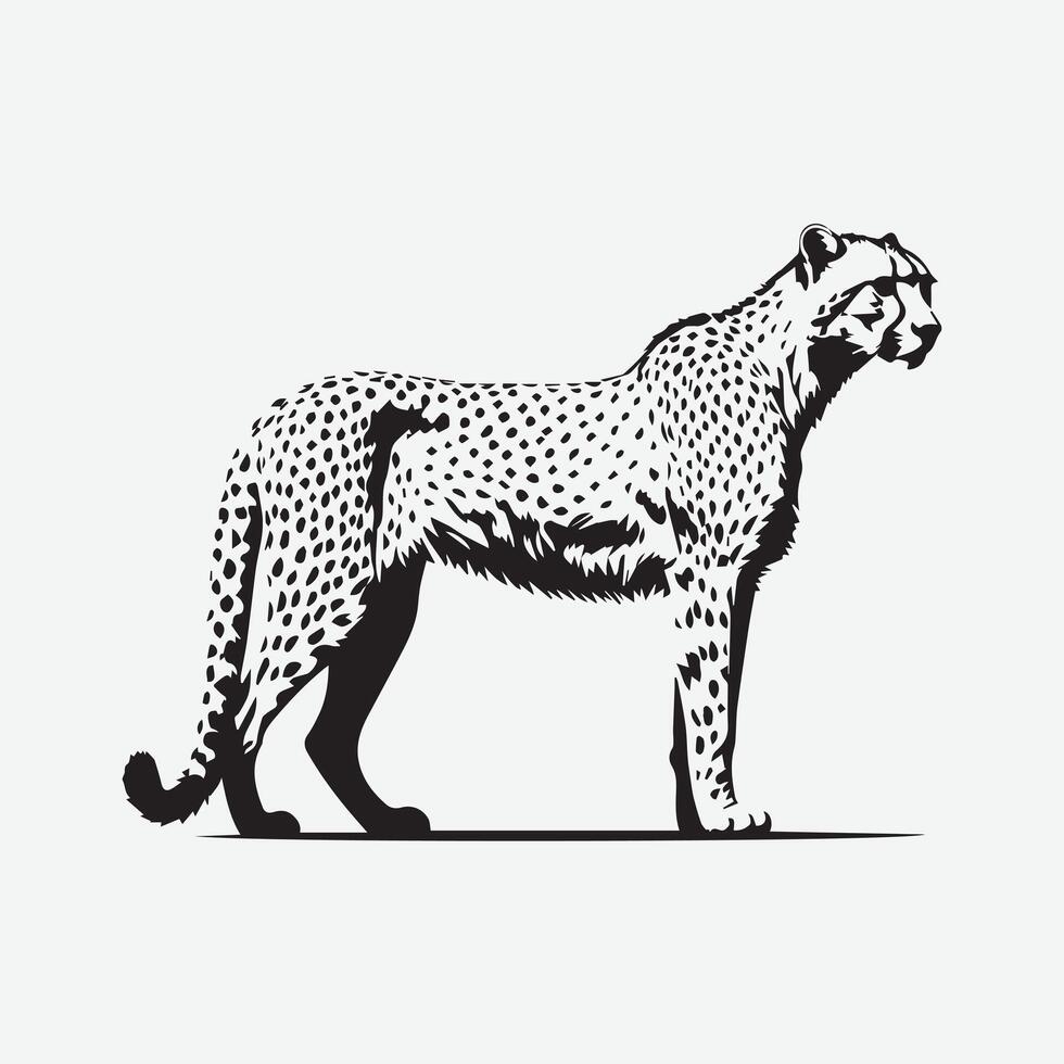 Cheetah silhouette on a white background vector