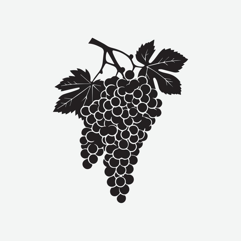 Black and white illustration of grapes on a branch vector