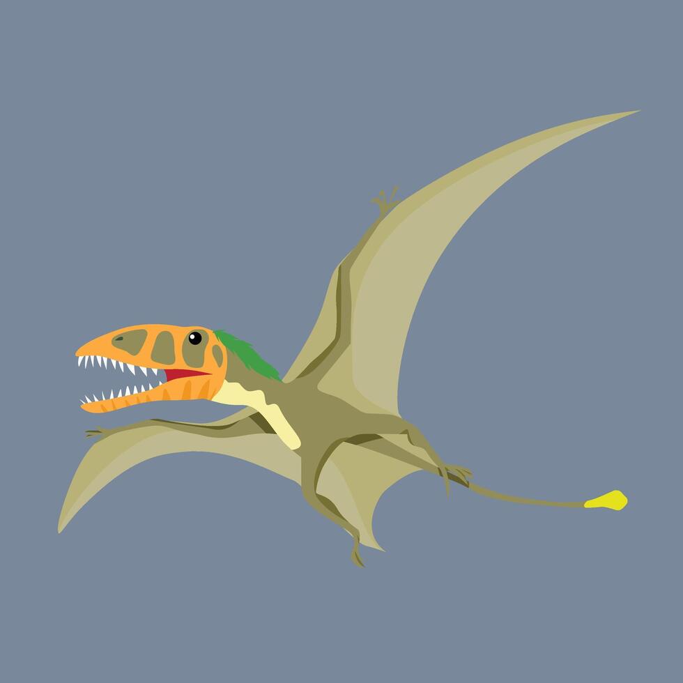 Dimorphodon Carnivore Dinosaur Small, eats insects and fish vector