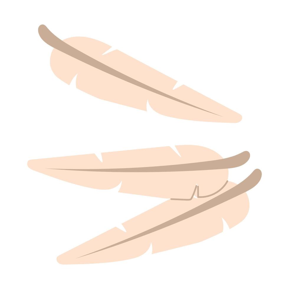 The set is a group with bird feathers. A flat illustration highlighted on a white background. Several feathers are isolated together on a white background. Delicate light fluffy feathers vector