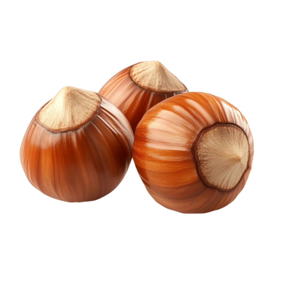 Fresh Hazelnuts for Snacking png
