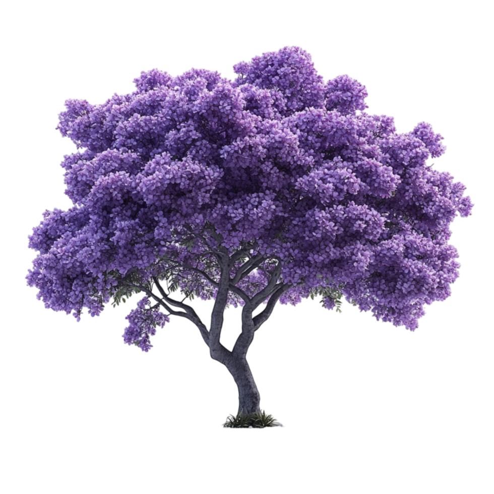 Purple Tree on Transparent Background png