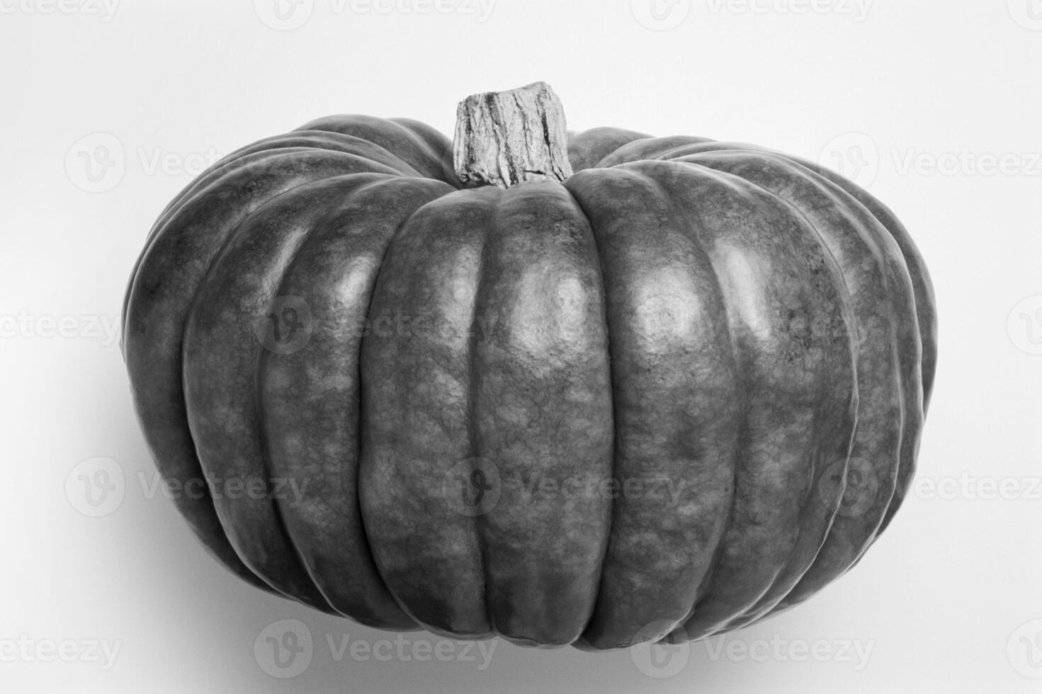 Queensland Blue Pumpkin Background photo