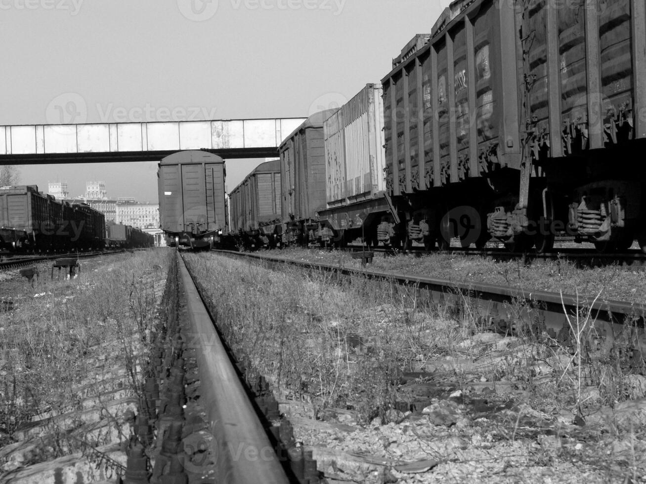 Freight Train on Railway Tracks under Blue Sky photo