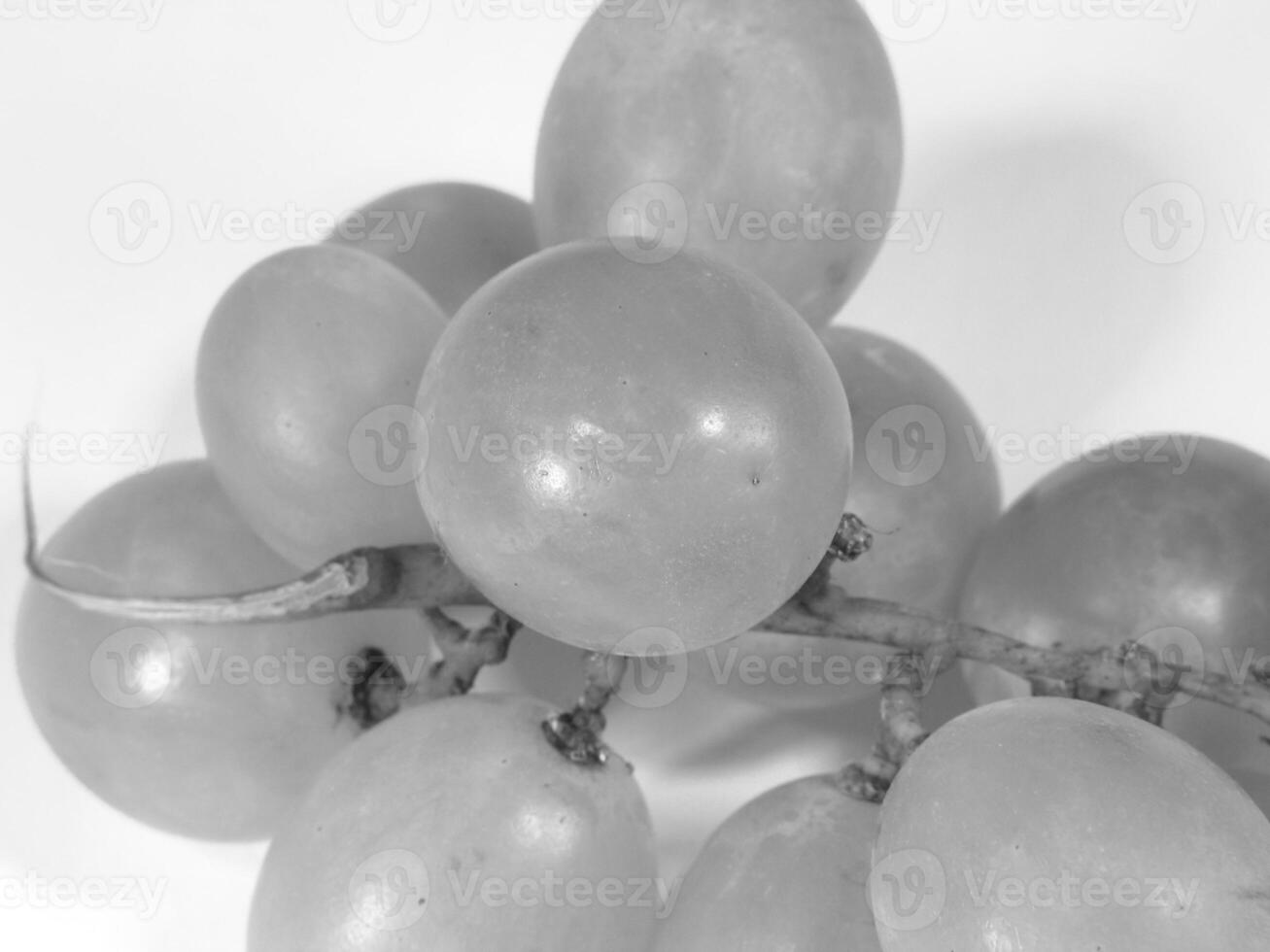 Vibrant Seedless Grapes on White Background photo