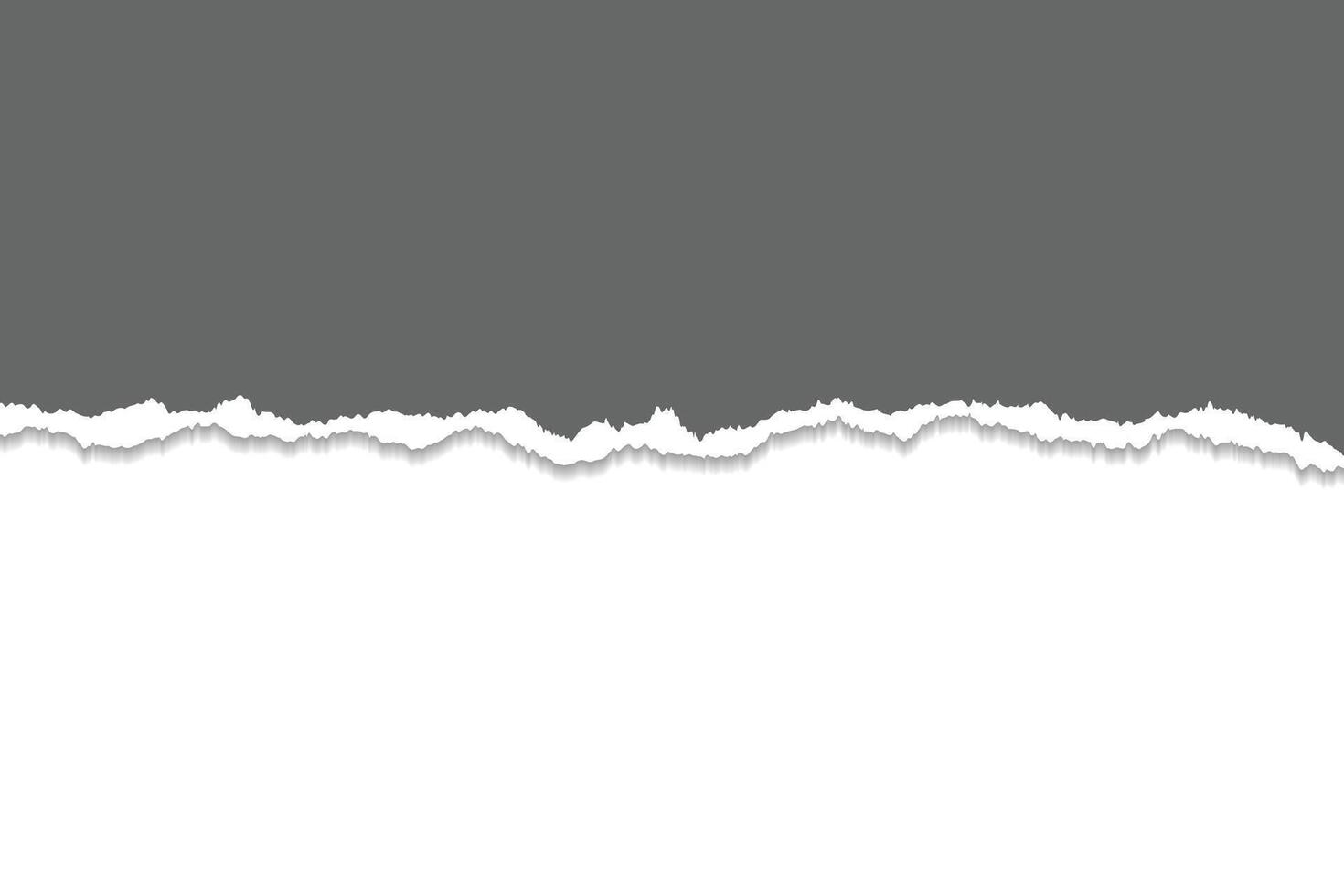Gray Torn Paper Edge with White Background. vector