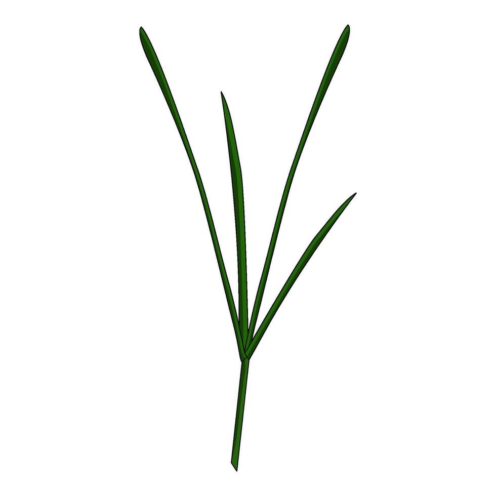 illustration of weeds vector