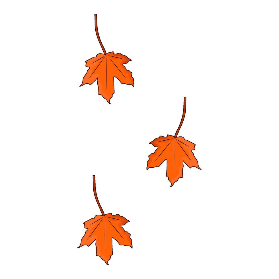illustration of maple leaf vector