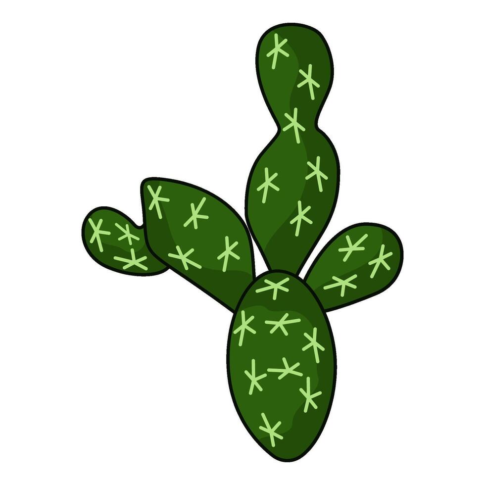 illustration of cactus vector