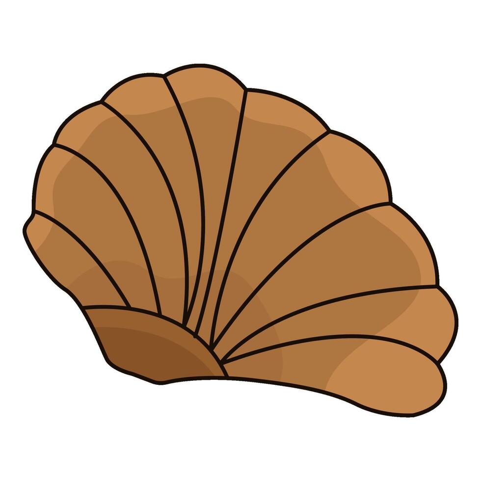 illustration of seashell vector