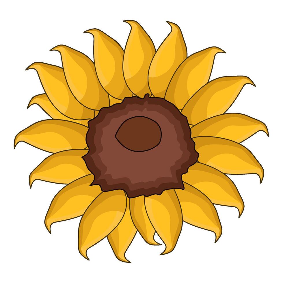 illustration of sunflower vector