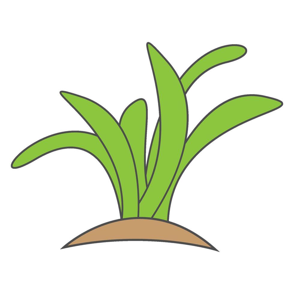 grass illustration design vector