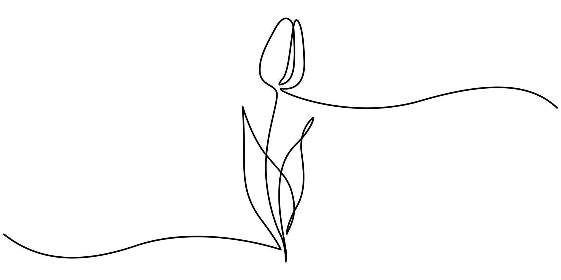 Tulip Continuous One Line Drawing Icon vector