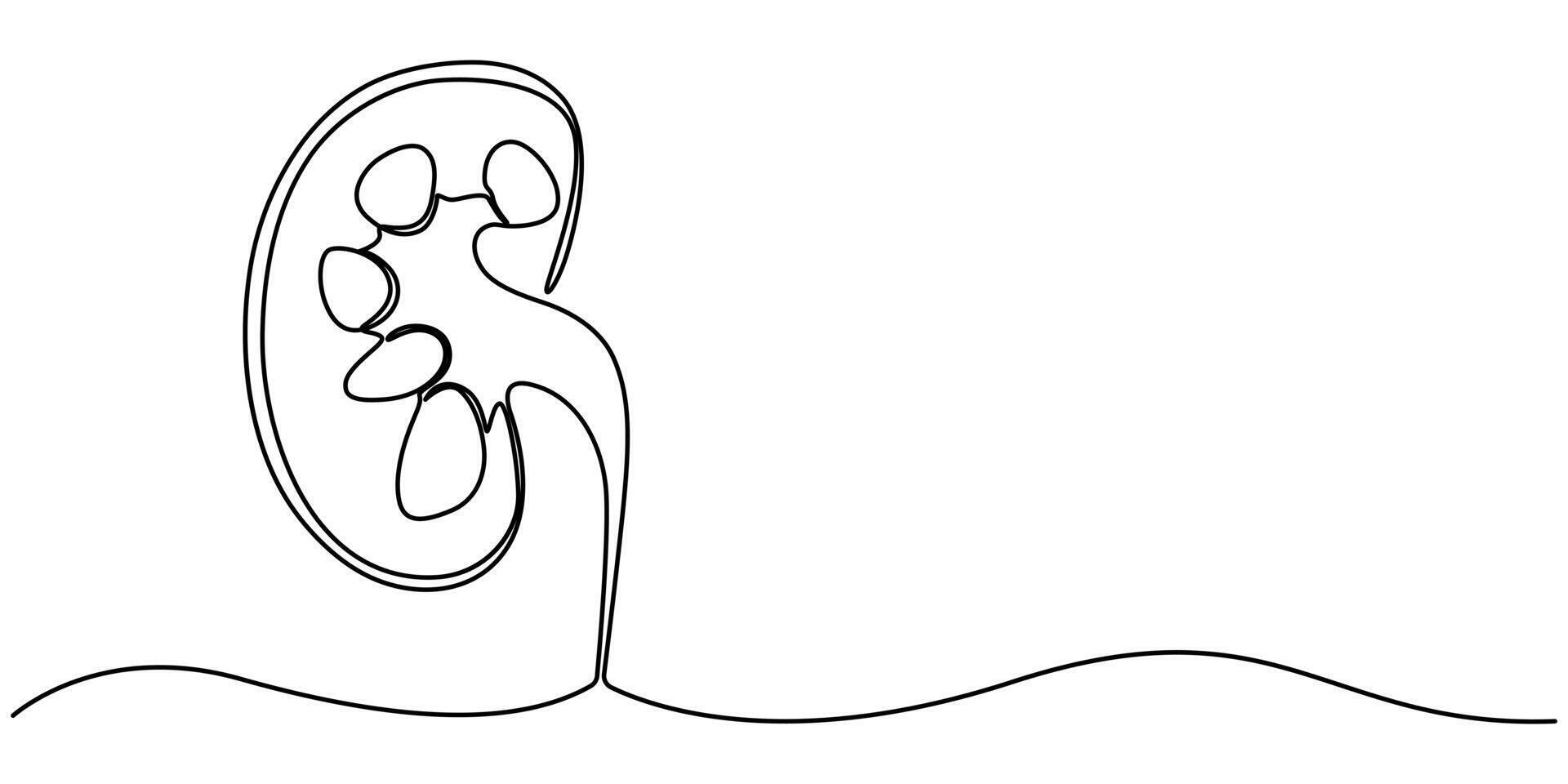 Continuous One Line Drawing Human Organs Icons vector