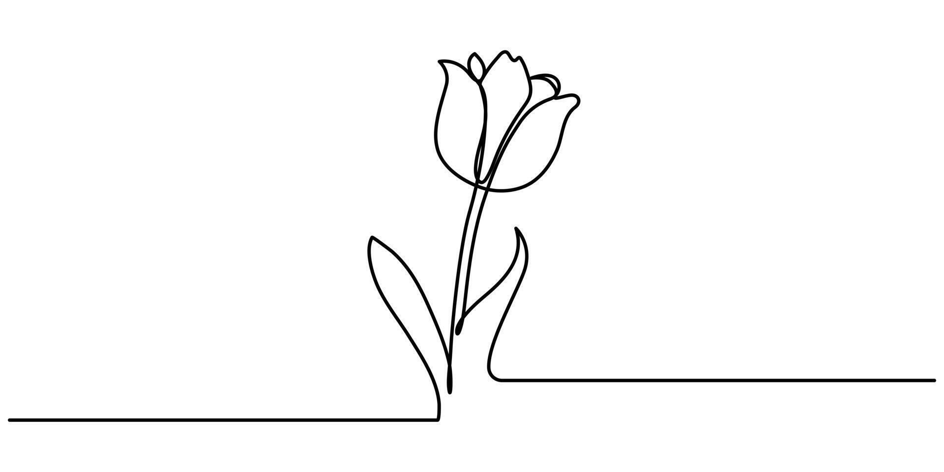 Continuous one line drawing beauty fresh tulip for garden vector