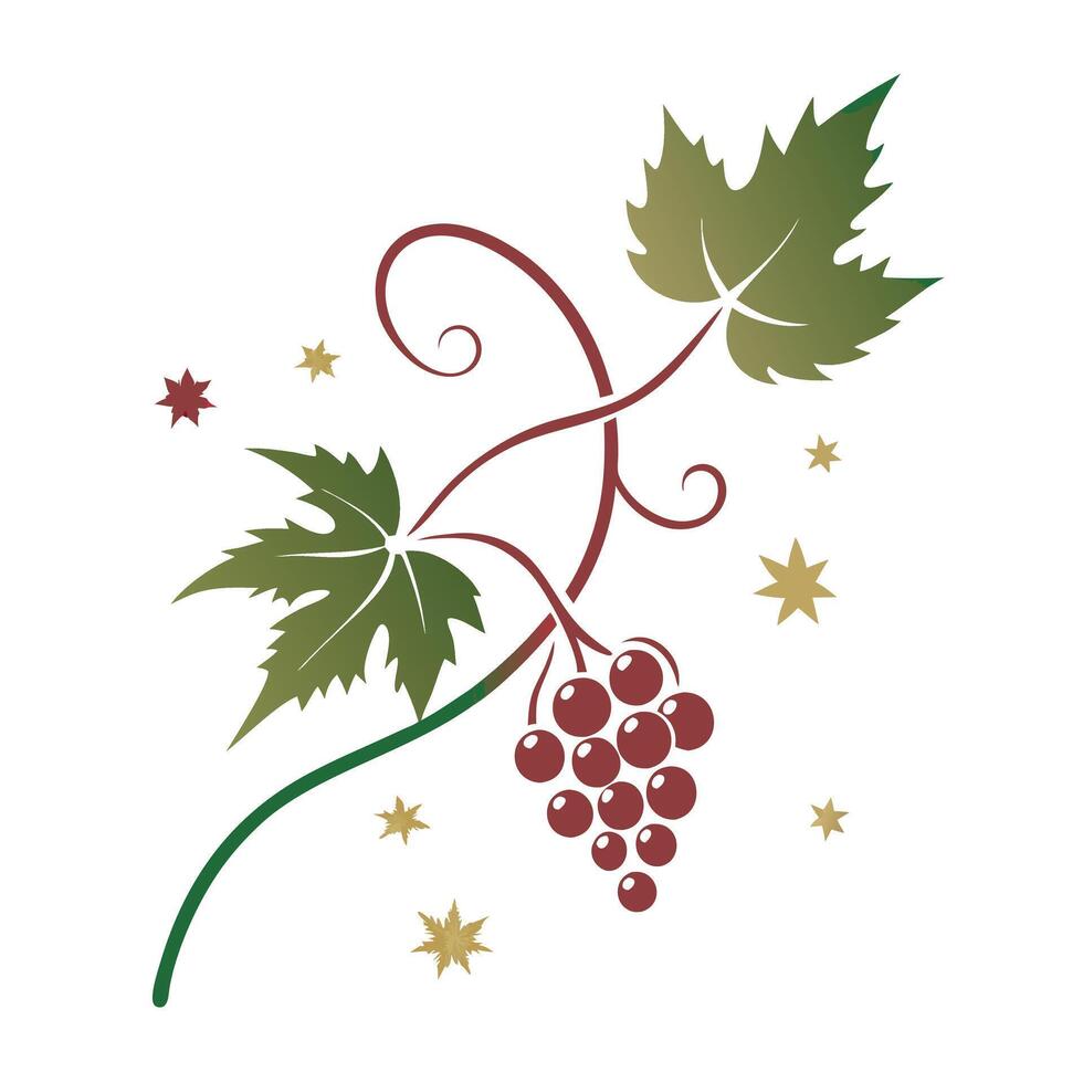 Grapes and stars vector
