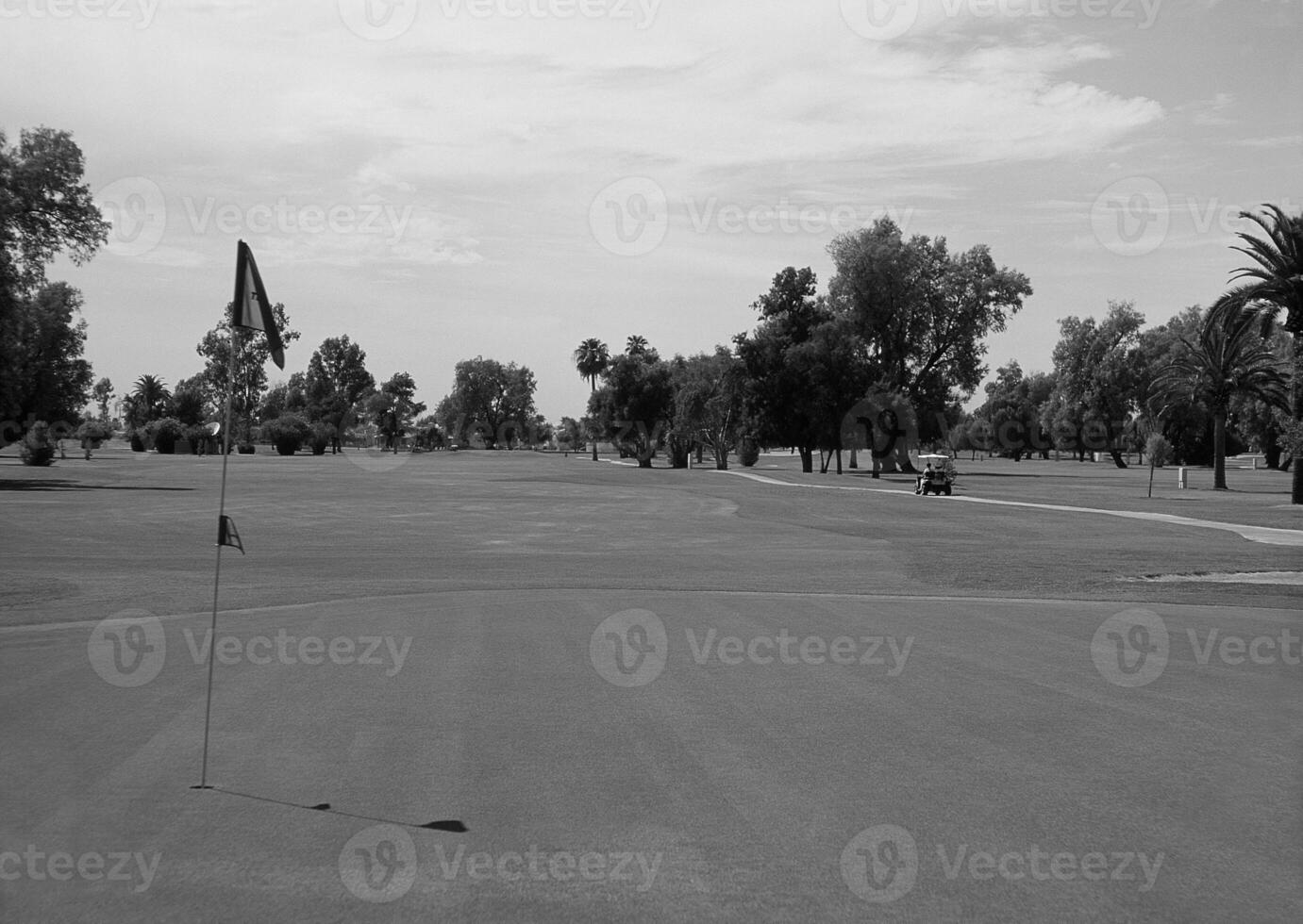 Tranquil Golf Landscape Under a Cloudy Sky with Trees and Grassland photo