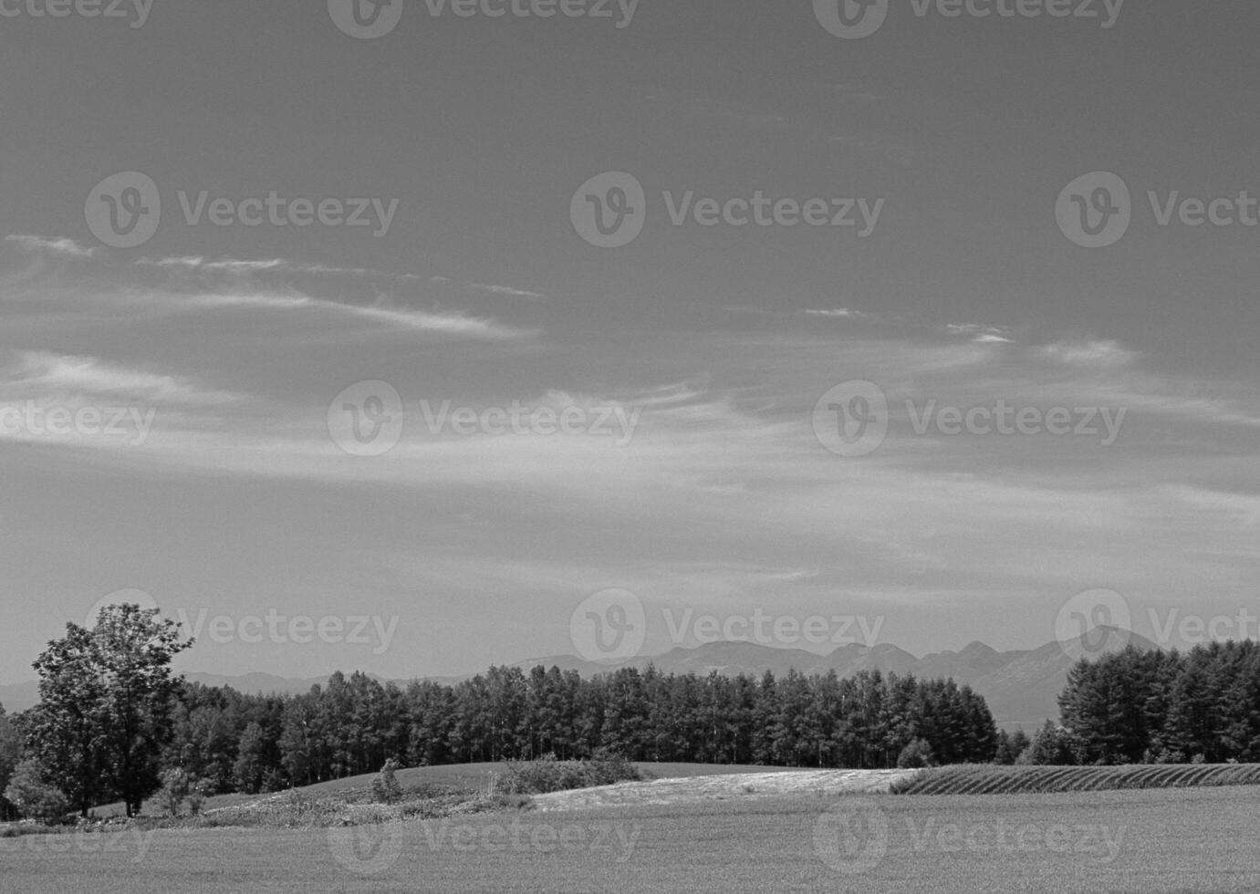 Tranquil Landscape with Cumulus Clouds Over Lush Grassland and Trees photo