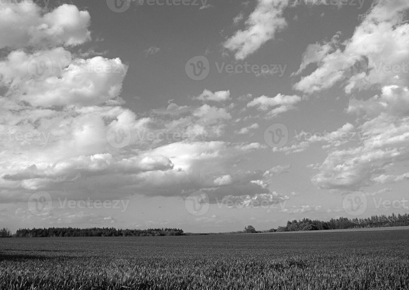 Breathtaking Cumulus Clouds Over a Vibrant Grassland Scene with People Exploring Nature photo