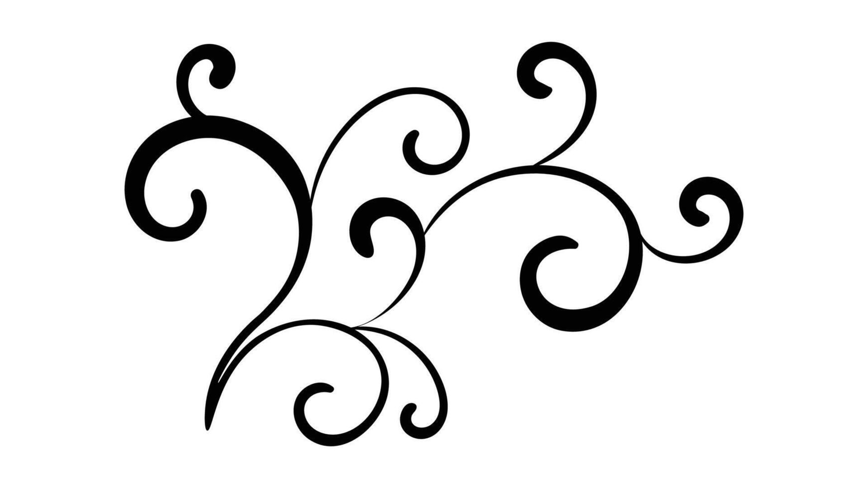 Curly design element, divider vector