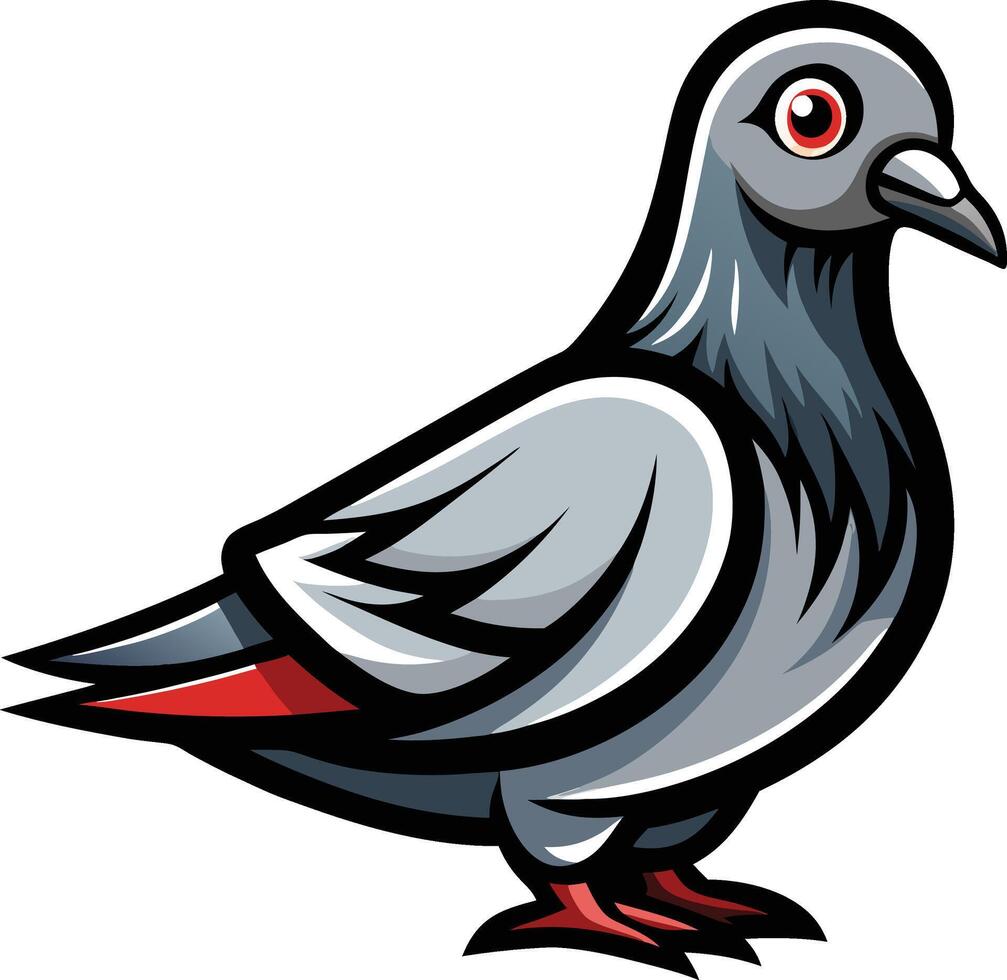 A pigeon with red feet and black beak vector