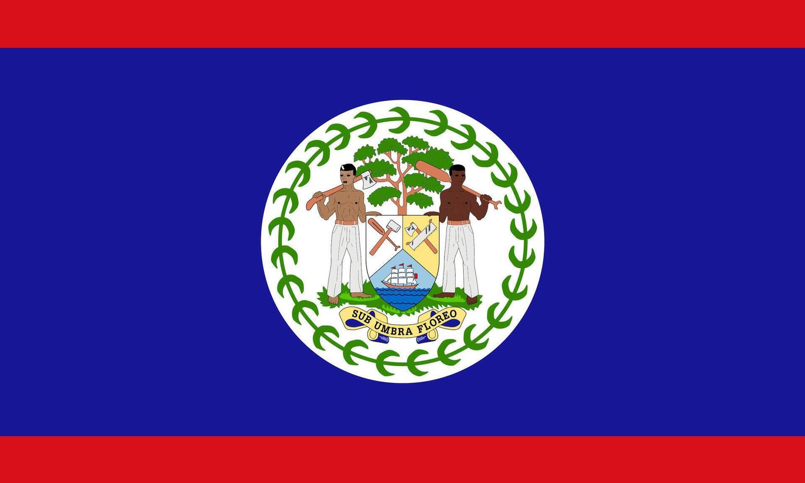 Belize flag national material design vector