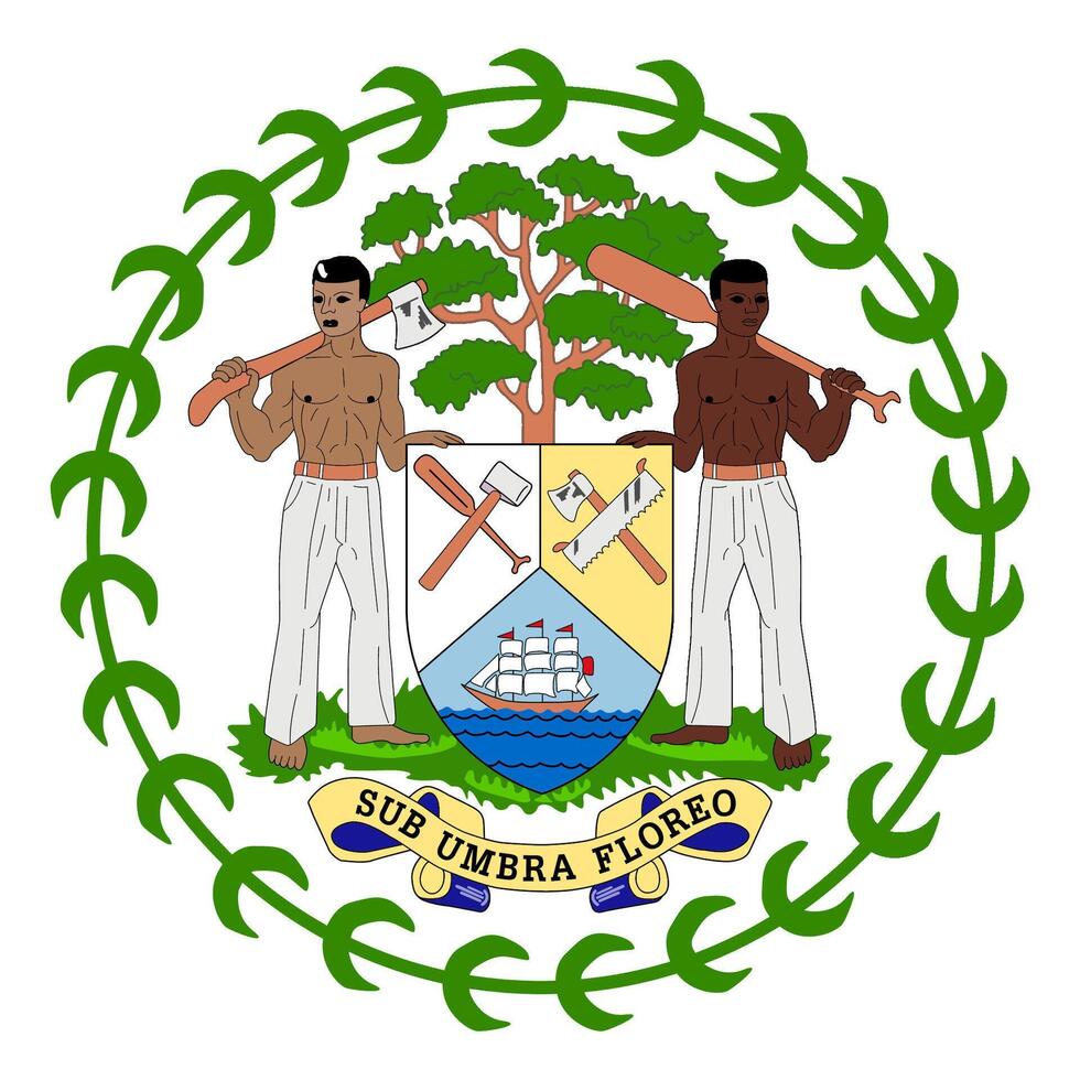 Belize element flag national material design vector