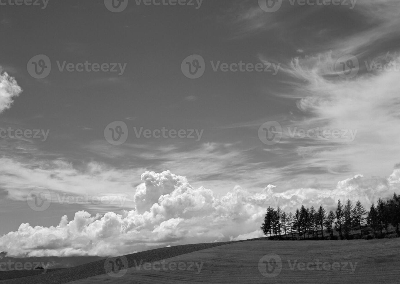 Majestic Highland Cloudscape Over Lush Grasslands and Verdant Trees photo