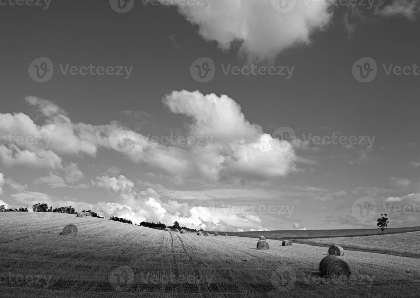 People Enjoying Nature Under a Vibrant Azure Sky with Cumulus Clouds and Lush Green Grass photo