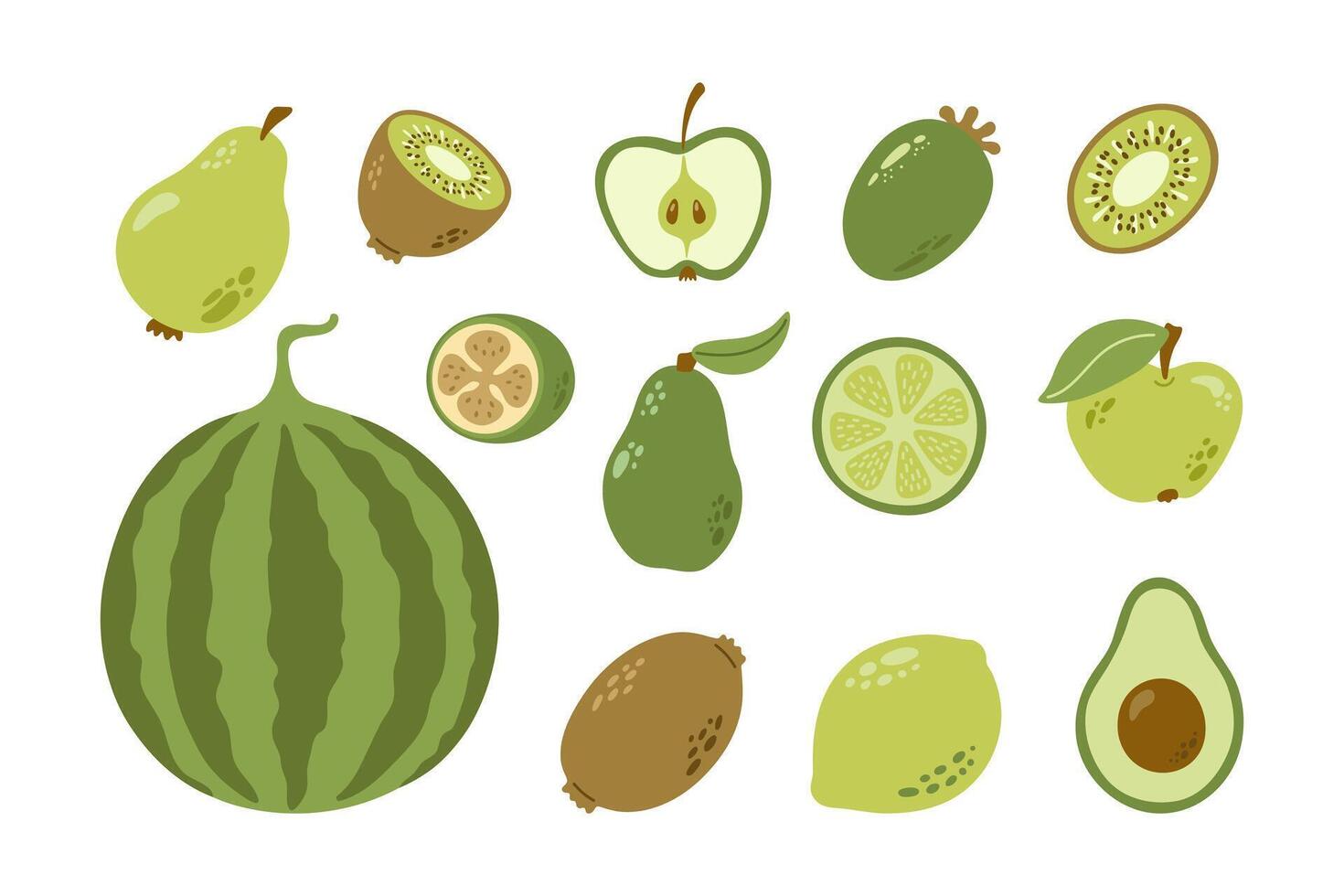 Green fruits with leaves and seeds. Pear, kiwi, apple, feijoa, avocado, lime, watermelon. Hand drawn cartoon collection. vector