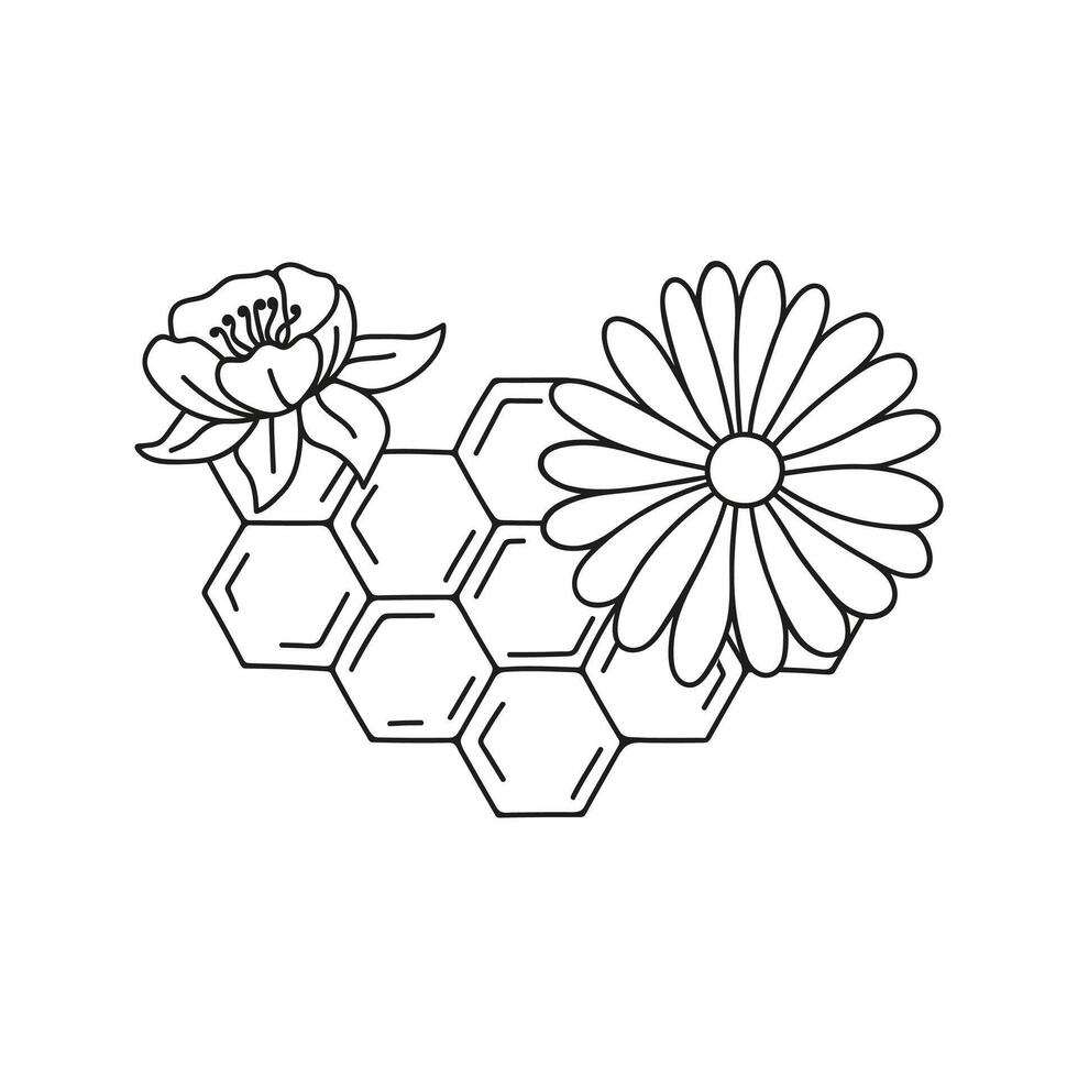 Honeycomb with fluid honey and flowers arrangements. Floral rustic hand drawn doodle illustration vector