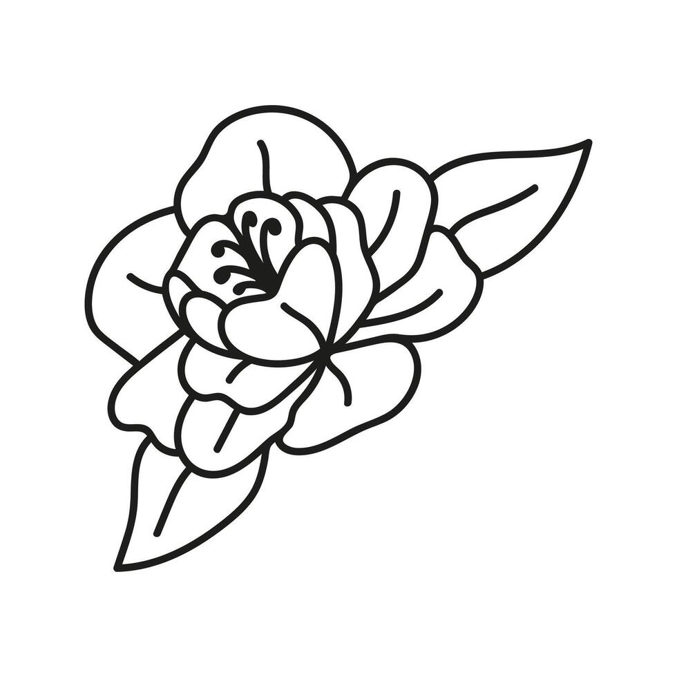 Summer magnolia botanical illustrations. Hand drawn linear flower doodle. vector