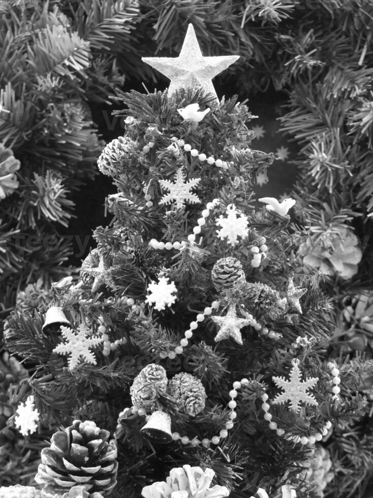 Flowering Plant in a Flowerpot with Christmas Tree and Evergreen Shrubs photo