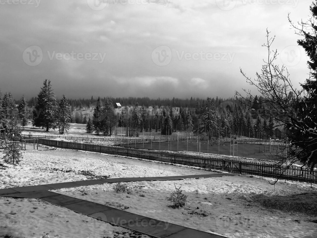 Snowy Landscape with Tree Branches Against Cloudy Sky photo