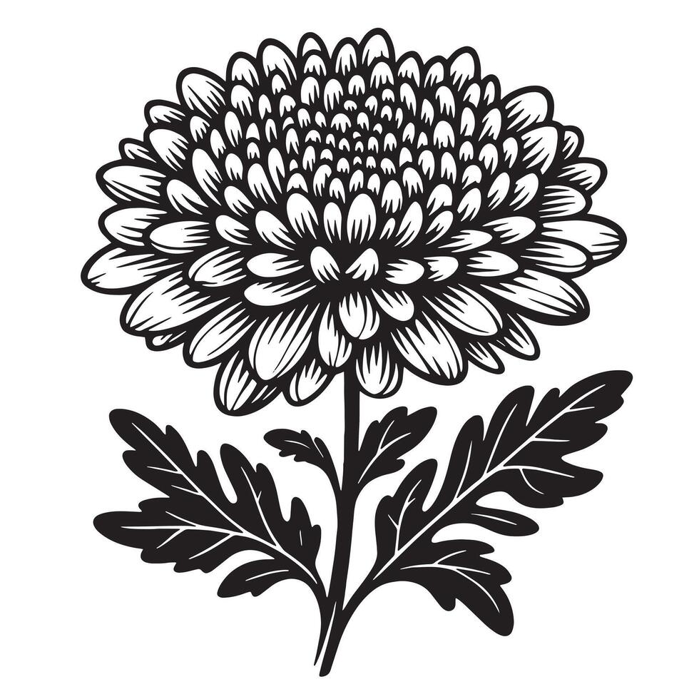 Radiant The Layers vector