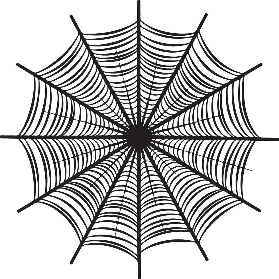 A spider web, spider net on a white background vector