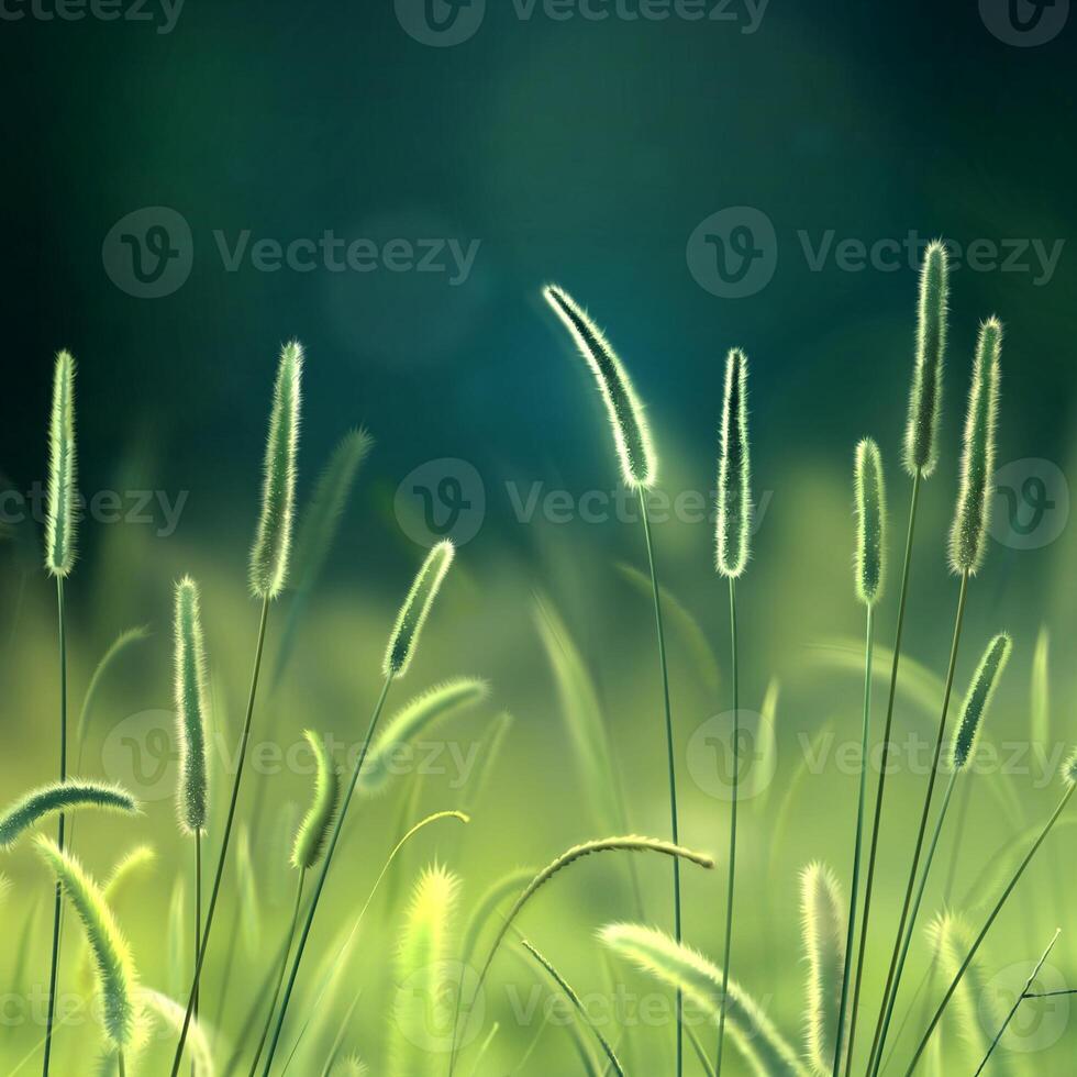Grass and flowers illustration background. Summer plants close view photo