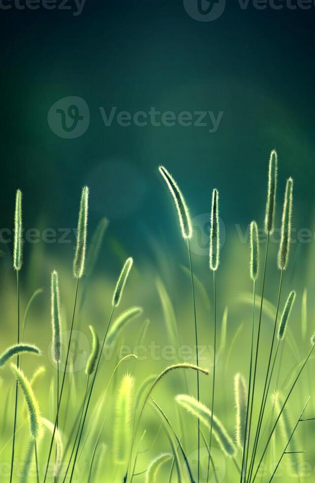 Grass and flowers illustration background. Summer plants close view photo